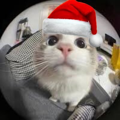 ugosznn's profile picture. a wife .☘︎ ݁˖