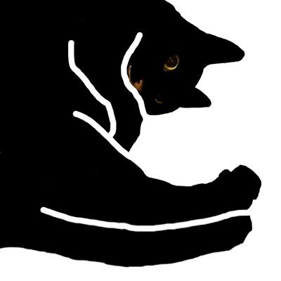 apopheni's profile picture. I’m not a wizard, so I don’t have the brain to understand the complexities of financial systems. Nor do I have a crystal ball that lets me see into the future,