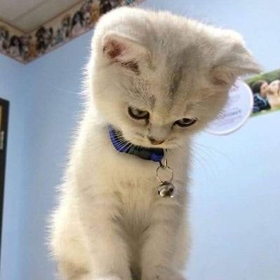 chay_laph39769's profile picture. 