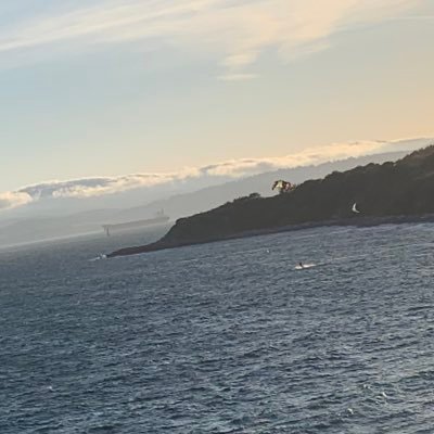 delalimacaddo's profile picture. Rainmaker • Ps 73.26 | PR • Brand Communications •