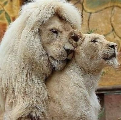 mhmd_wd47402's profile picture. واتساب 00201141697659