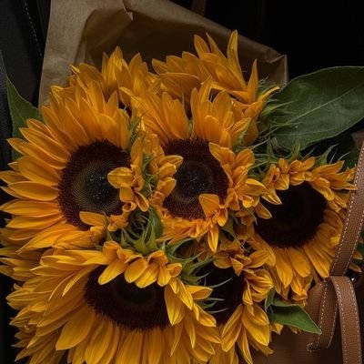 Mynaravl's profile picture. Smiling my way through chaos ☕🍓 | 150/75