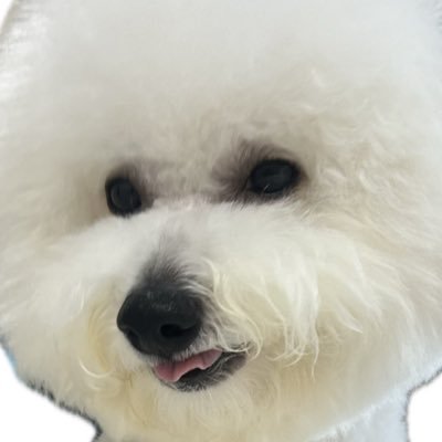 mimimimimin06's profile picture. 成人済。