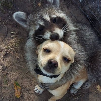 sanri_5's profile picture. 20⬆️