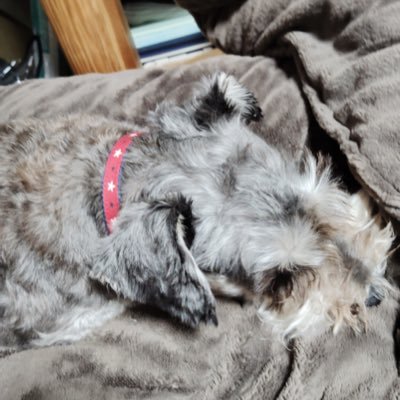 Nor4nnnnn's profile picture. May*って所でやってる