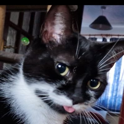 BattagliaAlan's profile picture. 