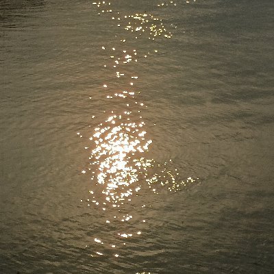 ying3520's profile picture. 