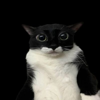 jb56_official's profile picture. en cours de chargement 🗂