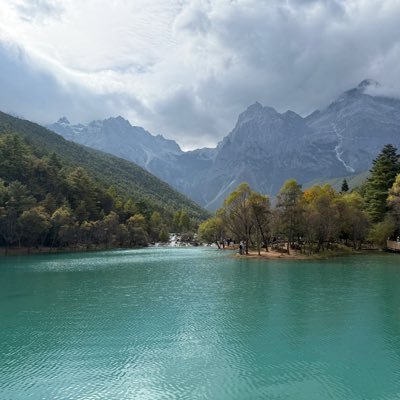 perrier9595's profile picture. 🦍 🦍 🦍