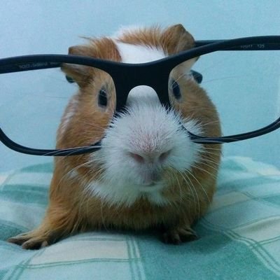 blue_forest_pic's profile picture. 카페 / 책 / 사진에 대해 얘기해요