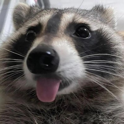 SeekaiTZ's profile picture. 🦦