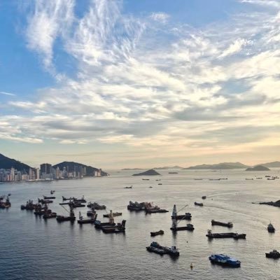 ST01355687's profile picture. 