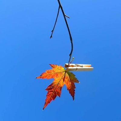 ZadhZhra21518's profile picture. 