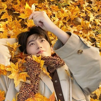 AibaAngel's profile picture. 양양이 정말 좋아요!! 杨洋 最棒的。 yangyang fan account