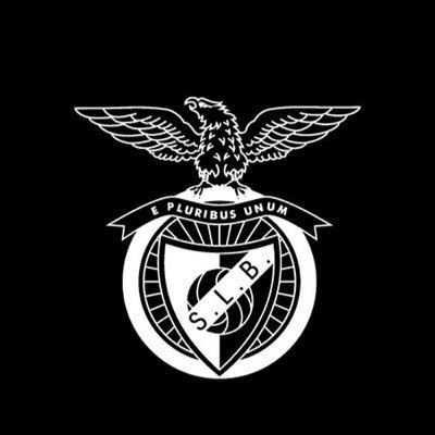 TiagoSalvado93's profile picture. 1904 🔴⚪