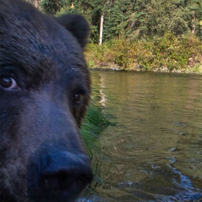 hastayimla's profile picture. 