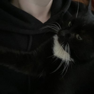 VSDMAXY's profile picture. hombre / el