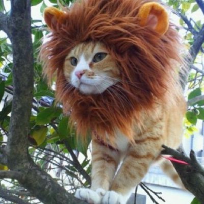 _Dmytro_Crypto_'s profile picture. 