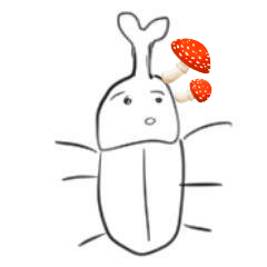 mami_luca's profile picture. 酒とラーメン。虚構アカウント