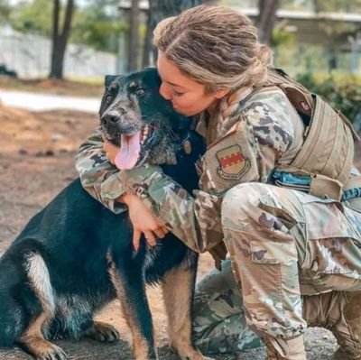 AllbaJoe16321's profile picture. I'm currently an K-9 dog handler for the Air Force, I also work as system analyst. I have a degree★★★