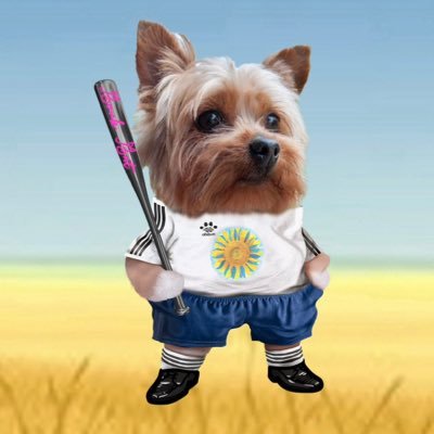 WendyAyres1's profile picture. 🇬🇧SUPPORTING 🇺🇦💙💛😁SLAVA UKRAINE ❤️ PROUD NAFO DOG HERE. HATE PUTIN & RUSSIANS. ABSOLUTELY LOATH TRUMP&VANCE &MAGA. NO DM’s