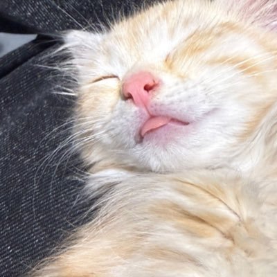 ehe2ehe2's profile picture. صياح ونواح وعويل