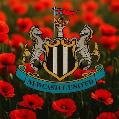_Chris_Martin_'s profile picture. Travelling with my amazing family. Kicking a pigs bladder around, searching tall grass for a small round ball and throwing an oblong ball about! #NUFC 🖤🤍