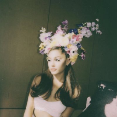 kittyyfang's profile picture. 🧛🏻‍♀️