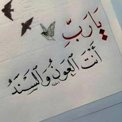 KAlmhmwd87626's profile picture. 