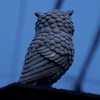 S38Qq9's profile picture. 📸EOS R6 Mark IIで写真を撮ります。読書もほんの少しだけ…。📚