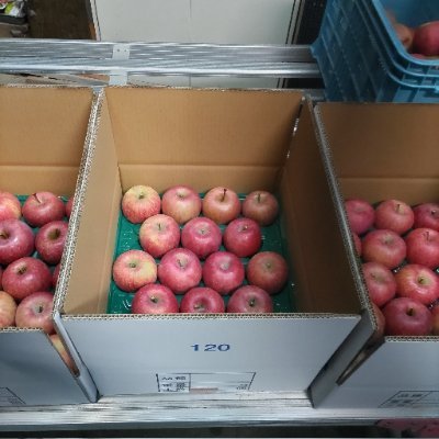 deosan00's profile picture. りんごのおっさん スト6のスイスドロー大会　月曜木曜21時半から開催中

ツイッチ　https://t.co/tDtmB7Fdrf
色んな企画考えていきます。
チャンネル登録や企画持ち込み歓迎いたします。