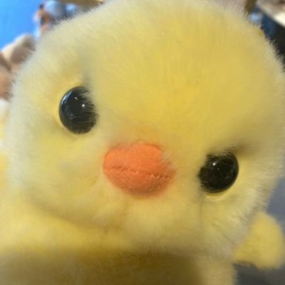 chili_Flakes46's profile picture. 🇵🇸🇵🇰
Blah Blah Blah 🥴
Perfectly Imperfect 😎
Blessed to have the best 💕:-  @NS_165