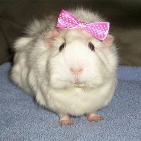 geongun_'s profile picture. I (🧘🏿‍♀️) geonwoo #ALD1 #ALLYZ