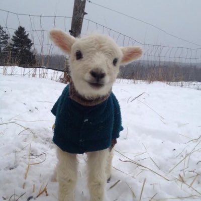 milfjoel's profile picture. Hey, I am kinda interested in everything that is unkown to me. 🤔