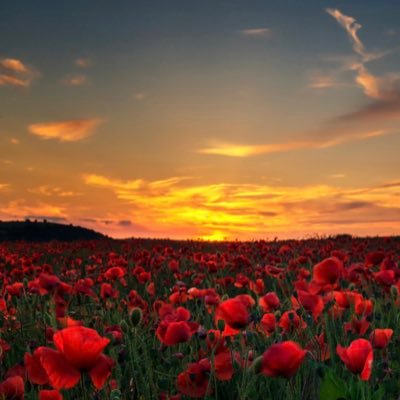 AgeingLock68's profile picture. Yeovil Rugby Veteran. Yeovil Rugby Mixed Ability Player . Lambretta appreciator. Still a mod. Not here to argue. Still learning about life.