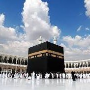 Omar111118229's profile picture. Muhammad Qasim dreams are coming true one after another