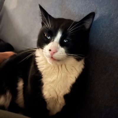 landiyofinfin's profile picture. pas de liberté pour les ennemis de la liberté | özgürlük düşmanlarına özgürlük yok | Emekçi Hareket Partisi (EHP) @EHPgenelmerkezi