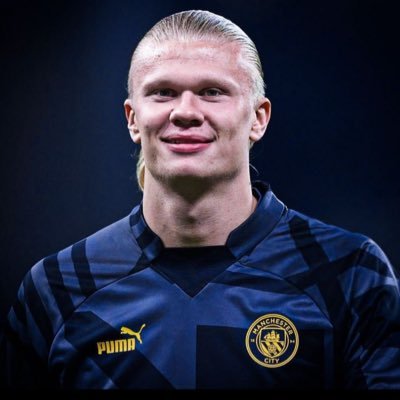 erlingera19's profile picture. Nigerian 🇳🇬🇬🇧, / @ErlingHaaland fan account