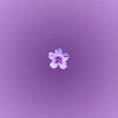 lineomoeti1's profile picture. https://t.co/lzYzwQLBRF