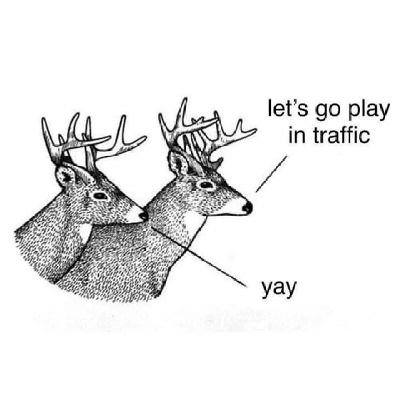 Auspiciouspices's profile picture. 