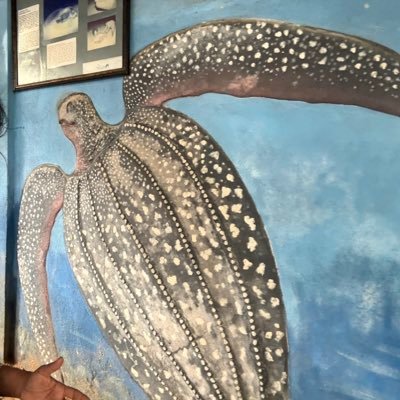 Anamica91512's profile picture. 