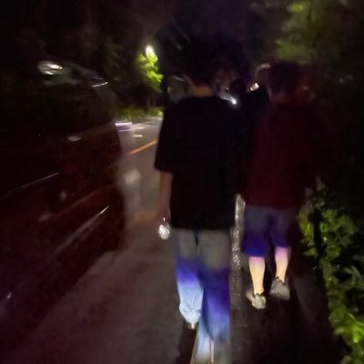 birds_eyeviewer's profile picture. 06 19 🇯🇵