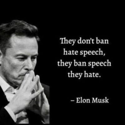 tslagrokmusk's profile picture. 