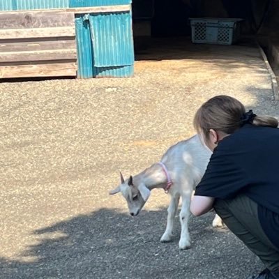 5ge_cosme2's profile picture. 韓国コスメ大好きです！🌙5 @5ge_cosme にログイン出来なくなったため新規で作成しました