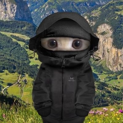 terraflow96725's profile picture. one step closer 🥾🌎