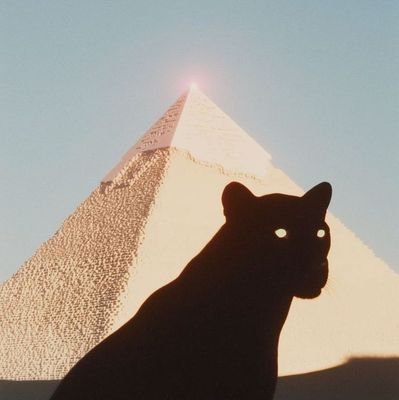 mornngstarr's profile picture. Financial Engineering & Investor