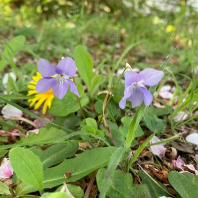 mira_16mar's profile picture. 