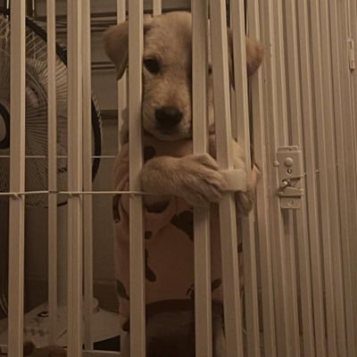 poooh_36's profile picture. 후회 해도 괜찮다에 걸 거야🌊