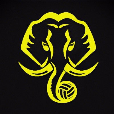 kbfc_co_uk's profile picture. Kerala Blasters 💛