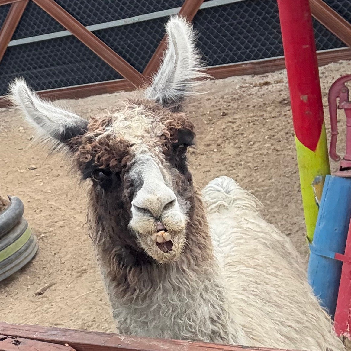 HeyJudNanana4's profile picture. 